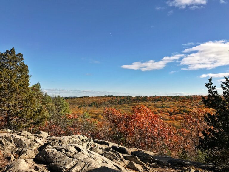 Rocky Narrows, Sherborn, MA - The Trustees of Reservations