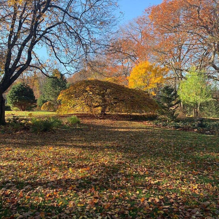 Decordova Sculpture Park And Museum Lincoln Ma The Trustees Of