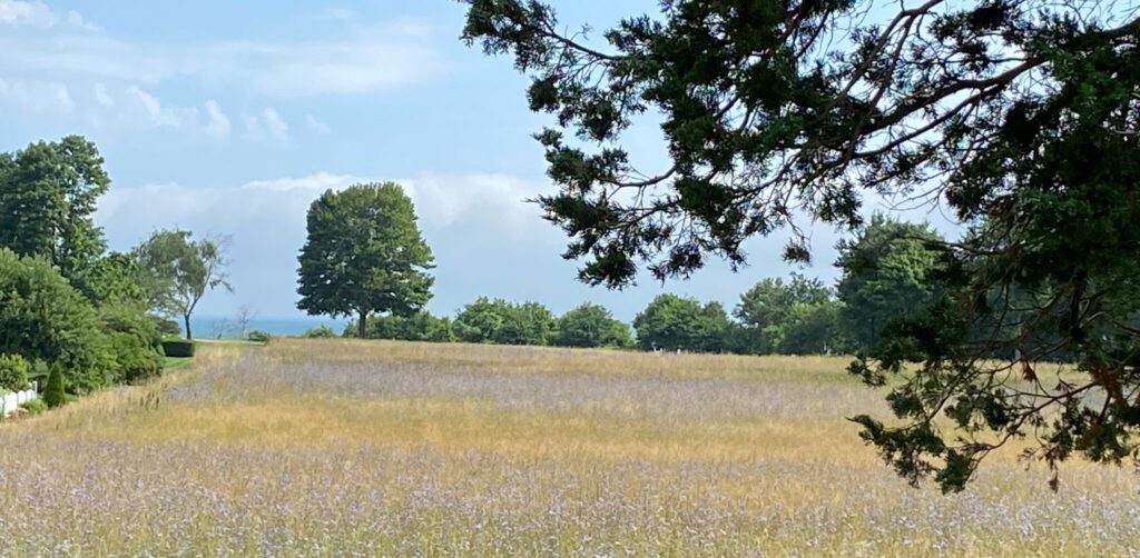 Allen C. Haskell Public Gardens, New Bedford, MA The Trustees of