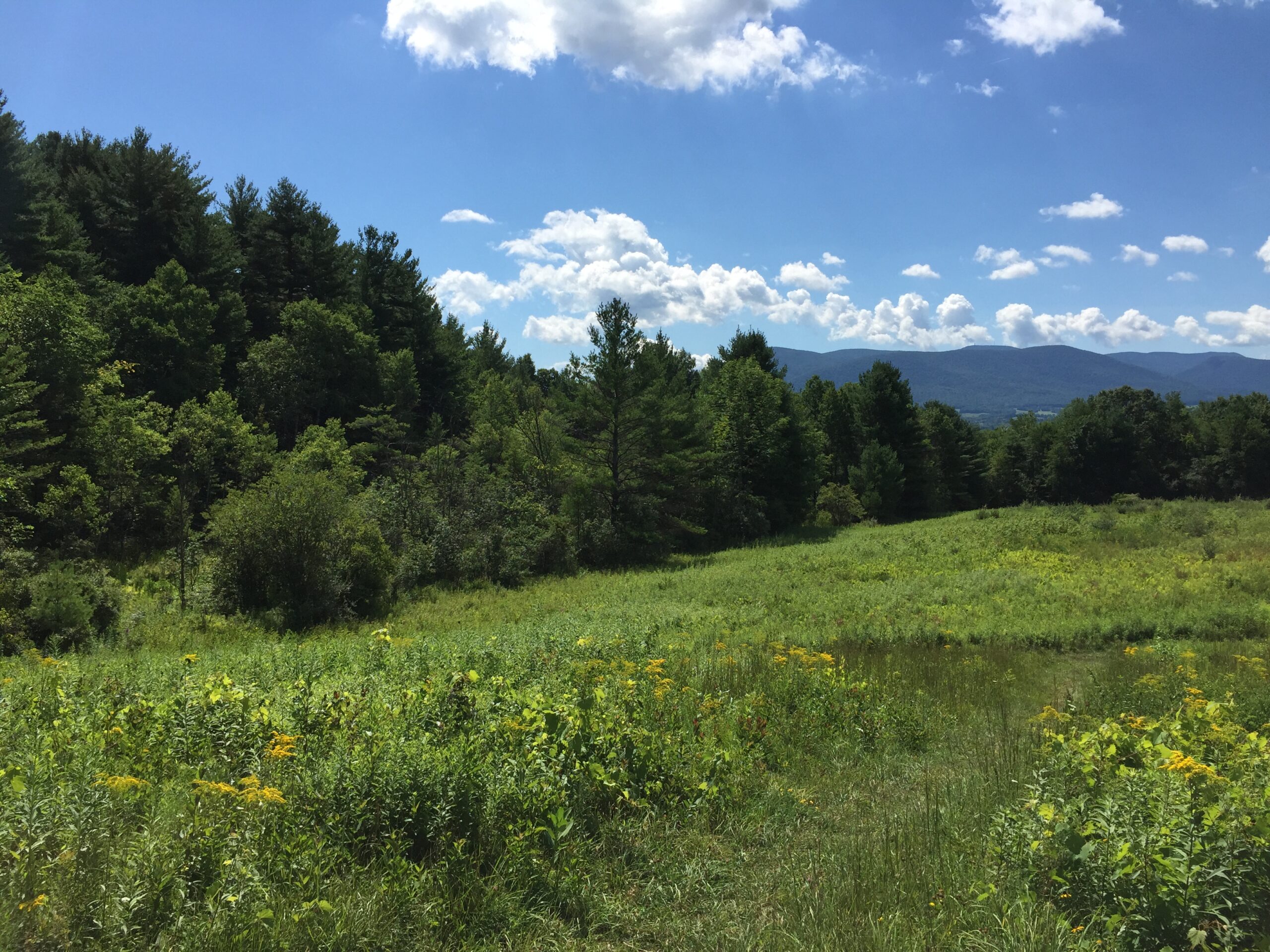 Mountain Meadow trail with Berkshire Hill views