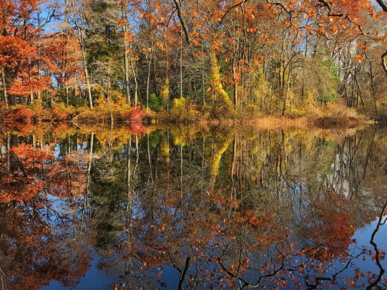 Rocky Narrows, Sherborn, MA - The Trustees of Reservations