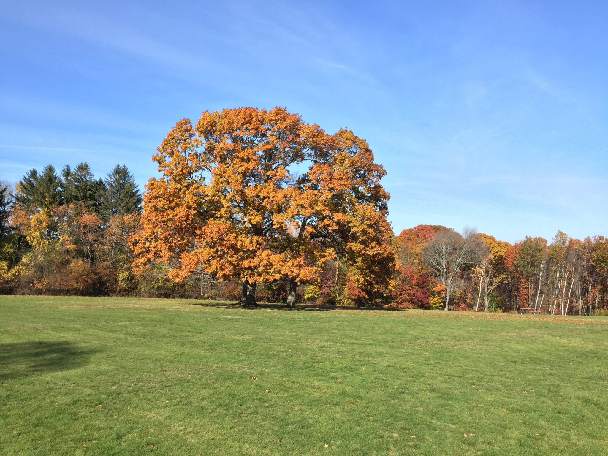 Governor Hutchinson's Field History - The Trustees of Reservations 