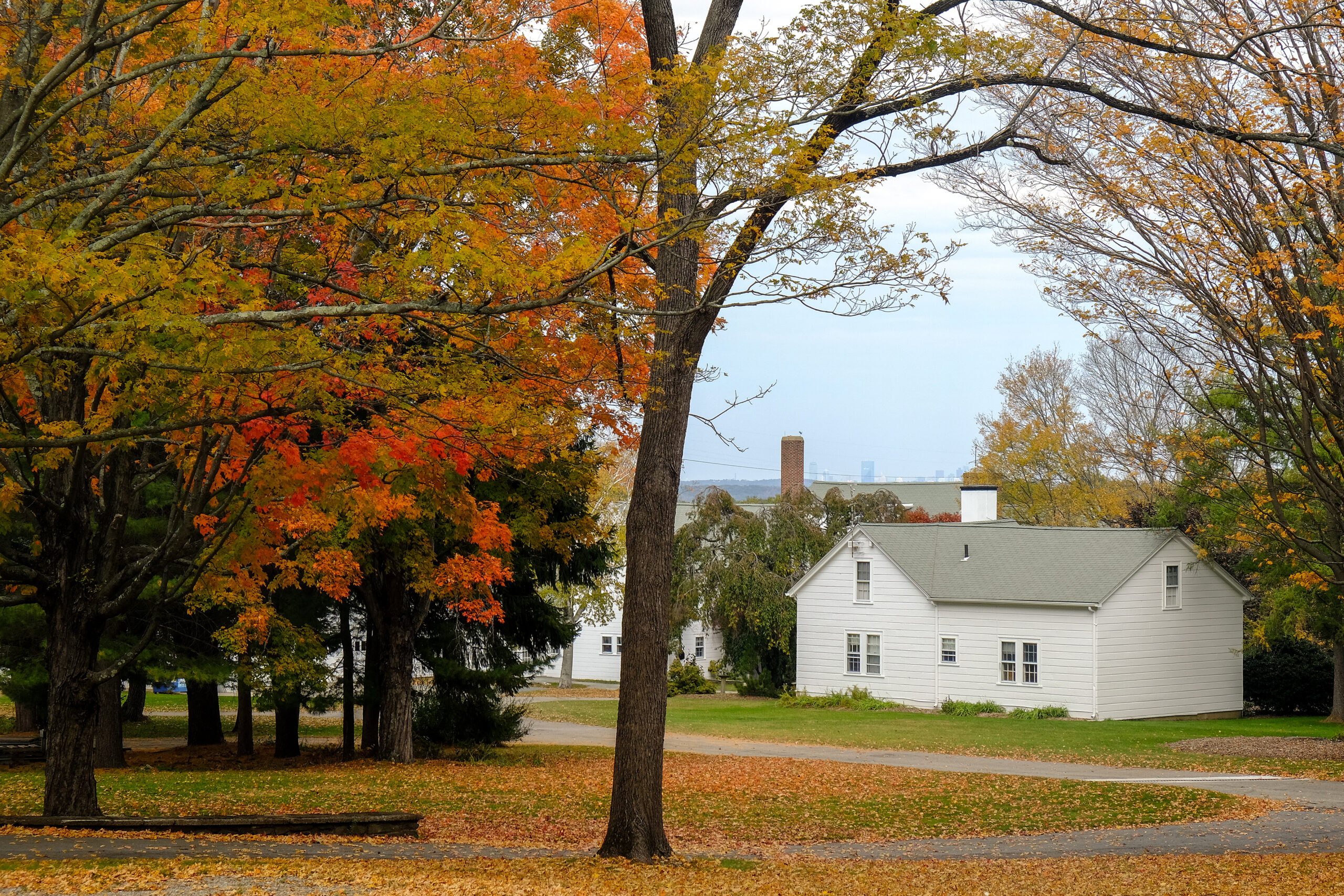 Moose Hill Farm house and view
