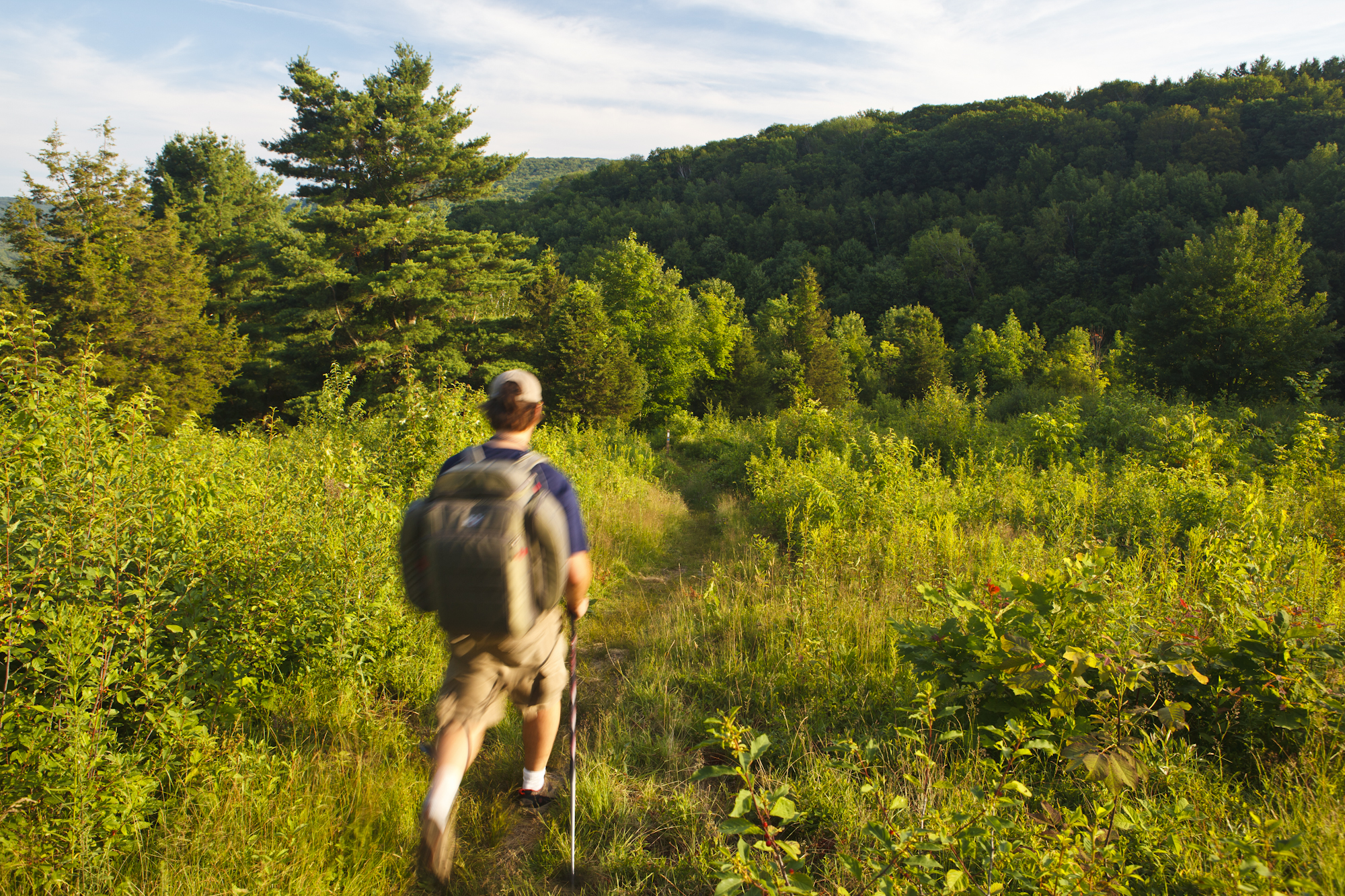 Man hiking on meadow path
