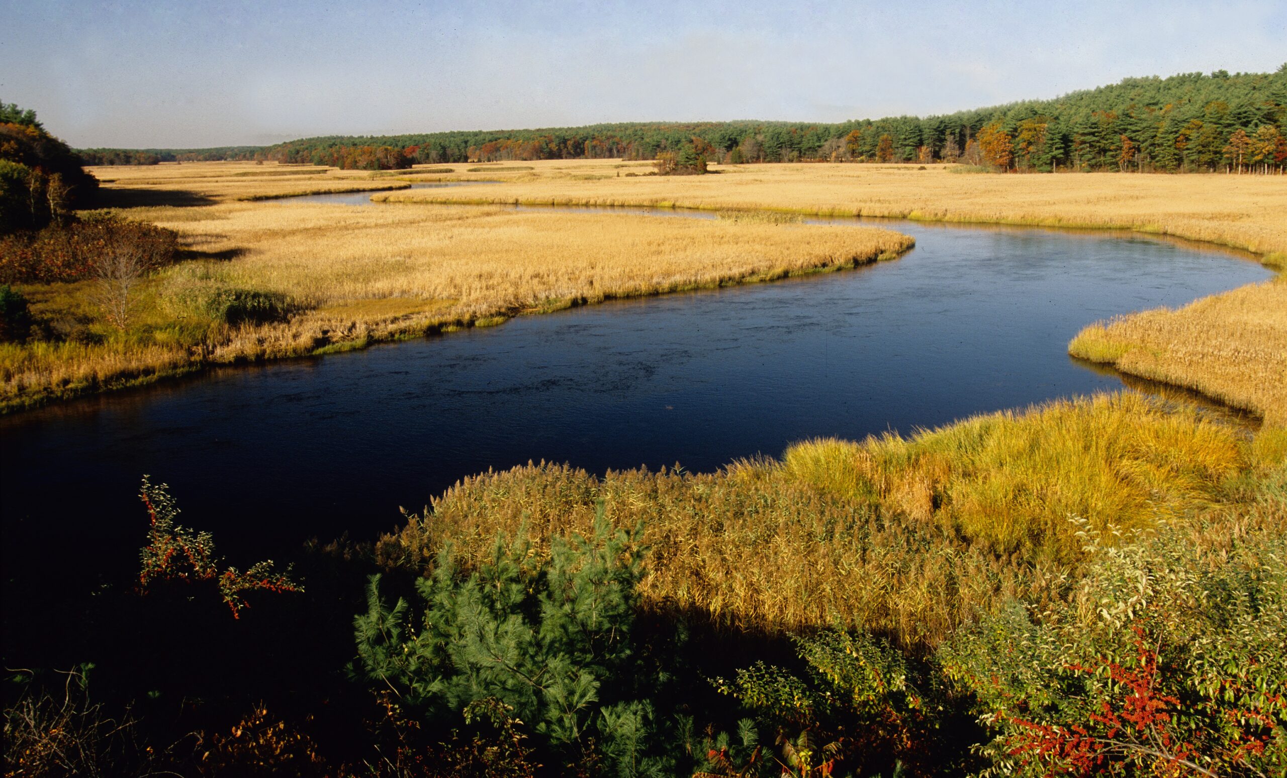 Winding tidal river among marsh grasses