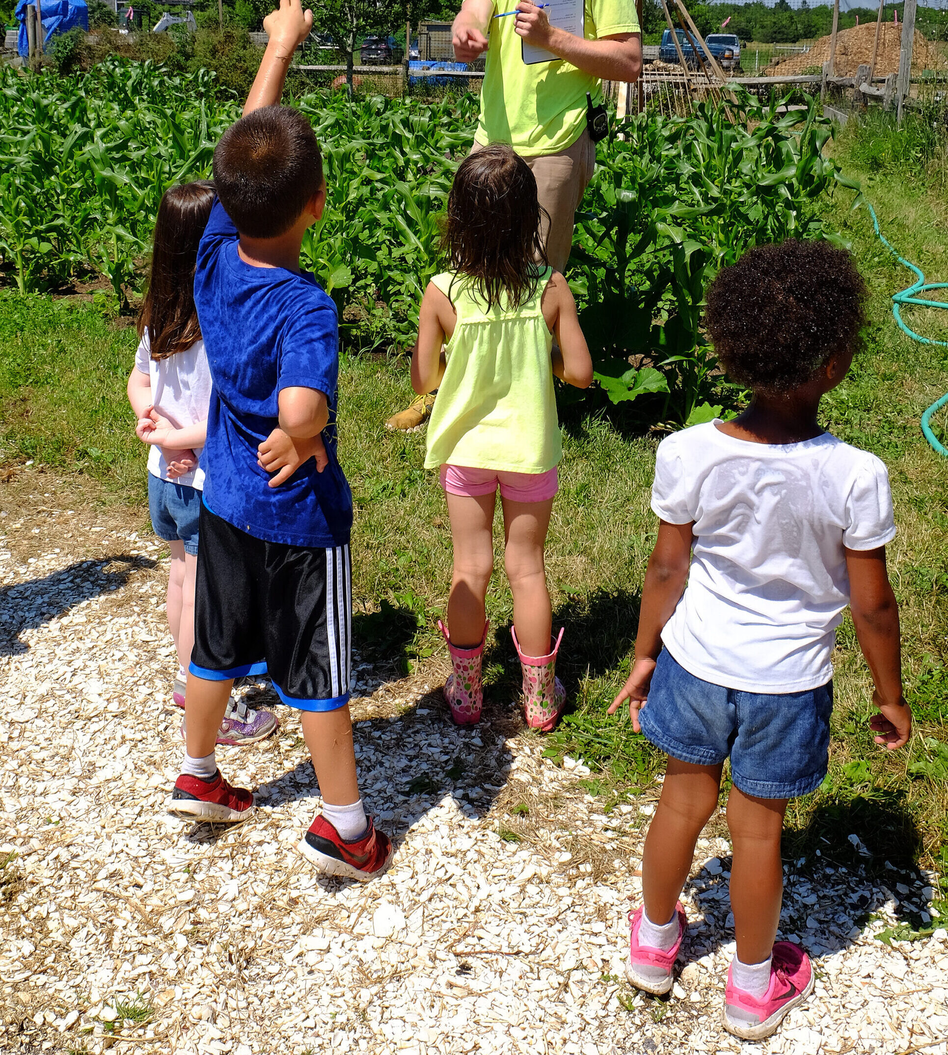 Four children standing outdoors in front of a corn field at TFI learning from a Trustees staff member