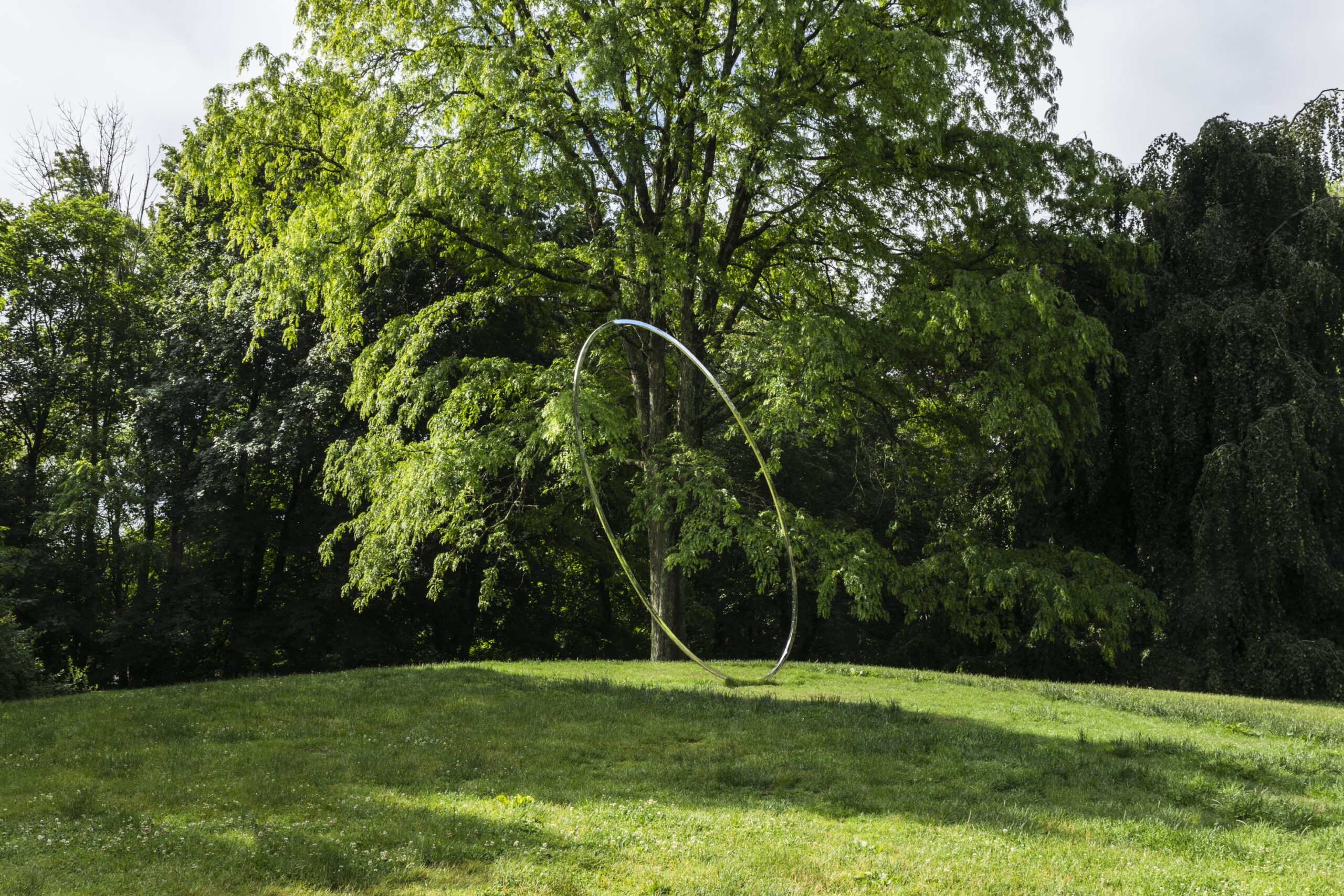 Temporal Shift, a circular sculpture among green trees and grass