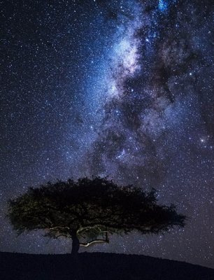 night sky kenya