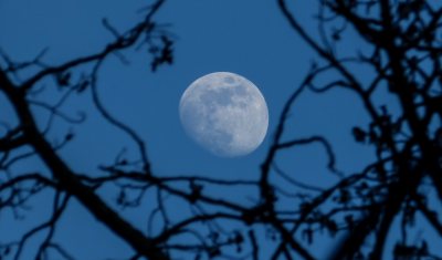 moon in blue sky