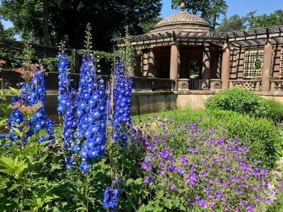 Italian Garden 2019