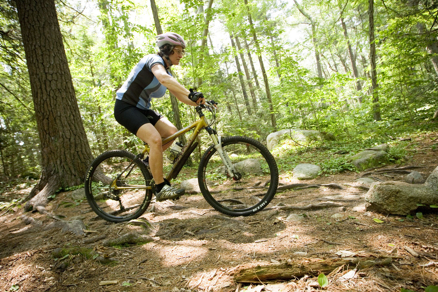 Easy mountain bike rides best sale near me