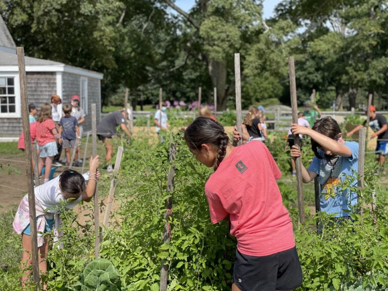 Appleton Farms Field Study The Trustees of Reservations