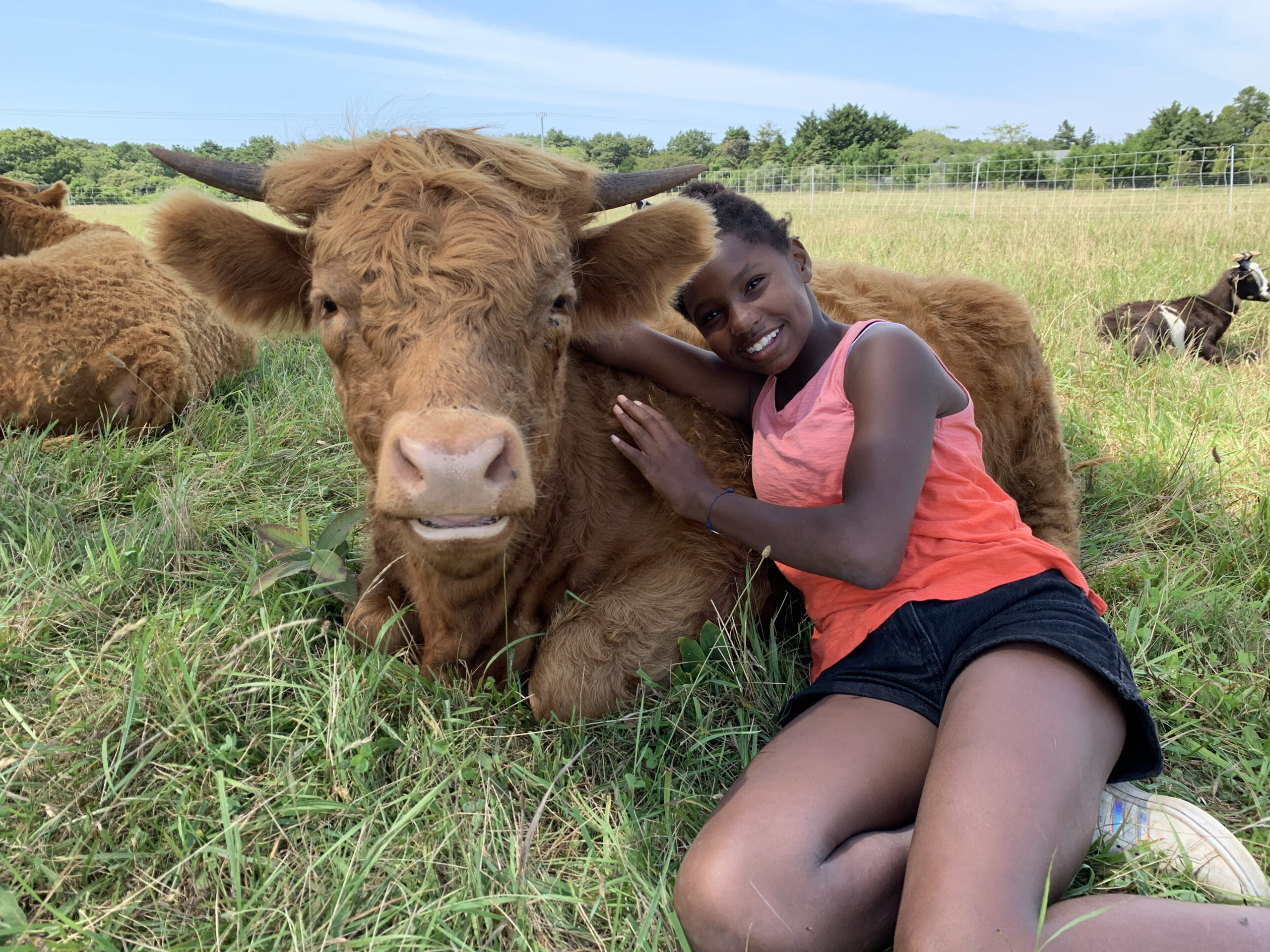 A smiling girl sitting beside a cow in a field outdoors at a Trustees farm camp