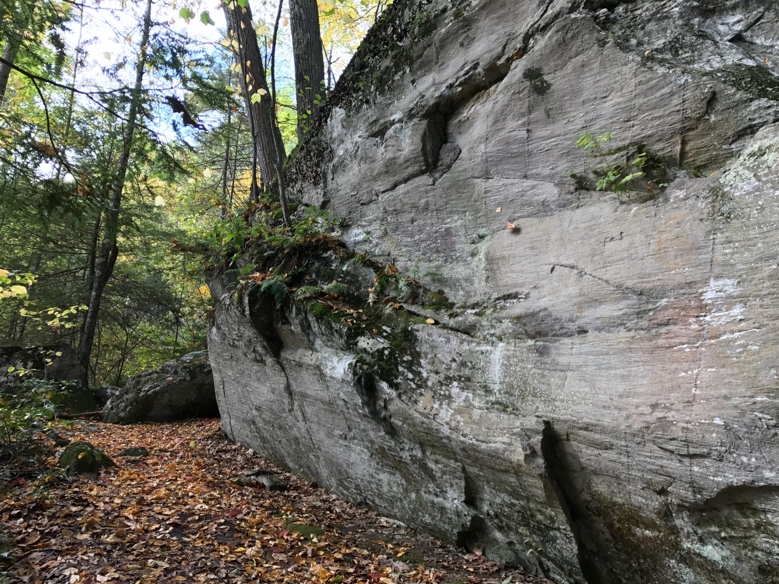 Rock outcropping