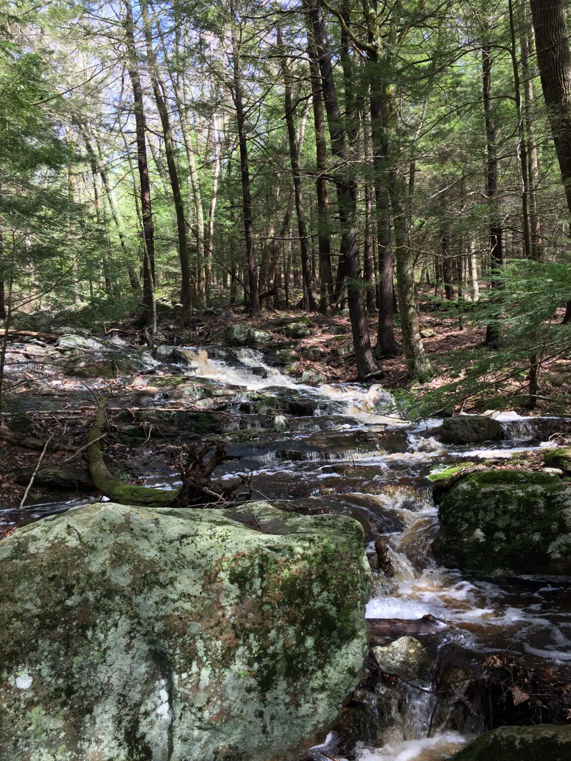 Tully Lake Campground, Royalston, MA - The Trustees of Reservations