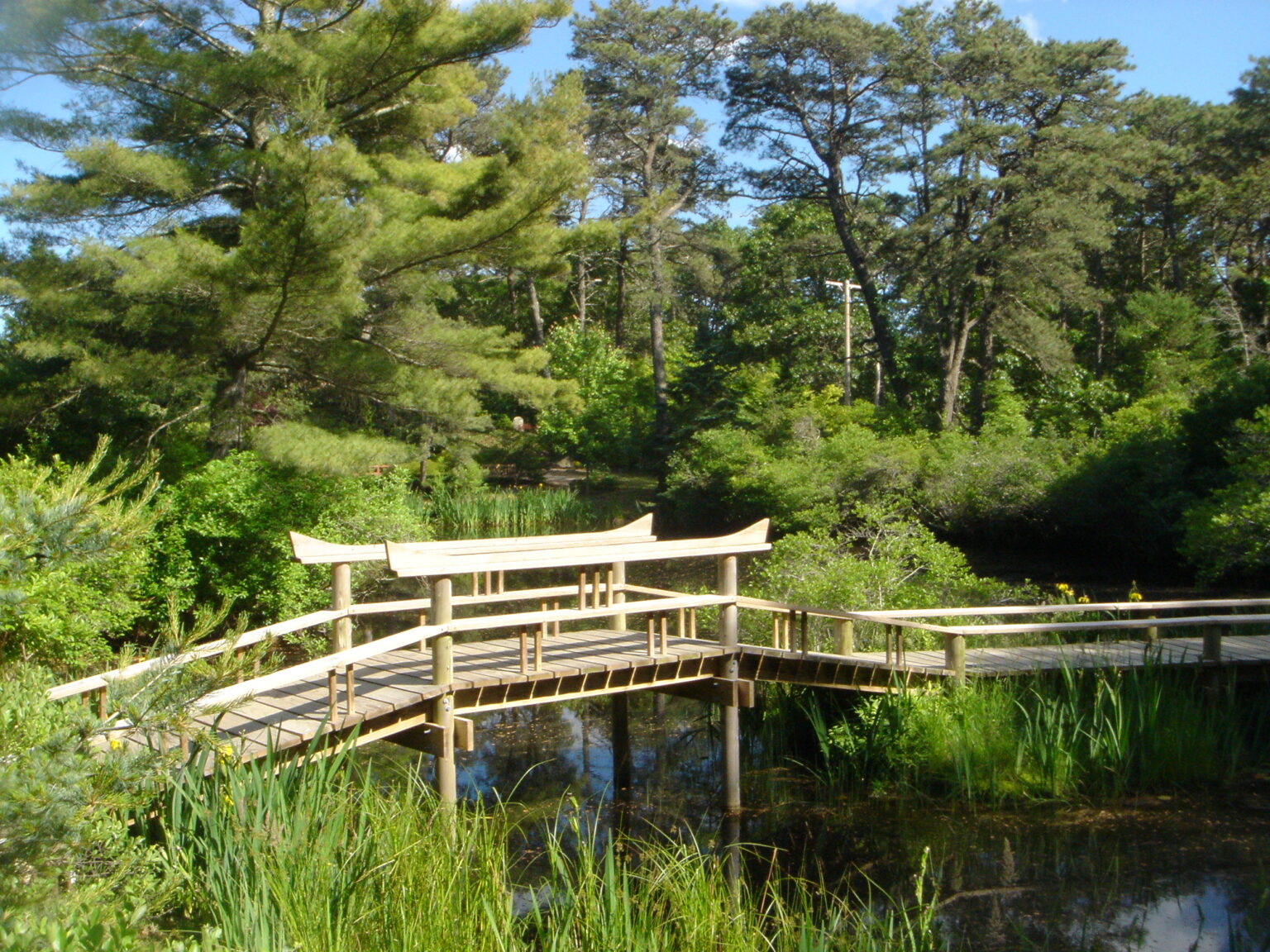 Park of the reserve. Болото мосты. Yapon bog'lari. Garden of Banban. Yapon bog'i.