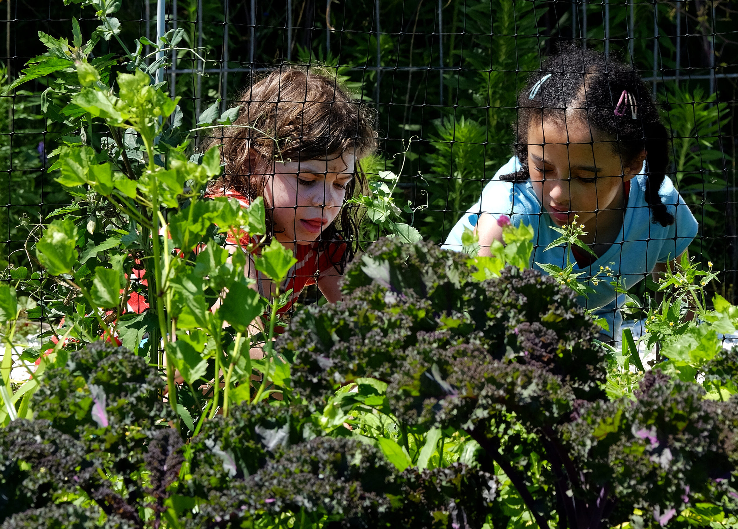 Two girls looking down into a garden at Trustees Summer Camp
