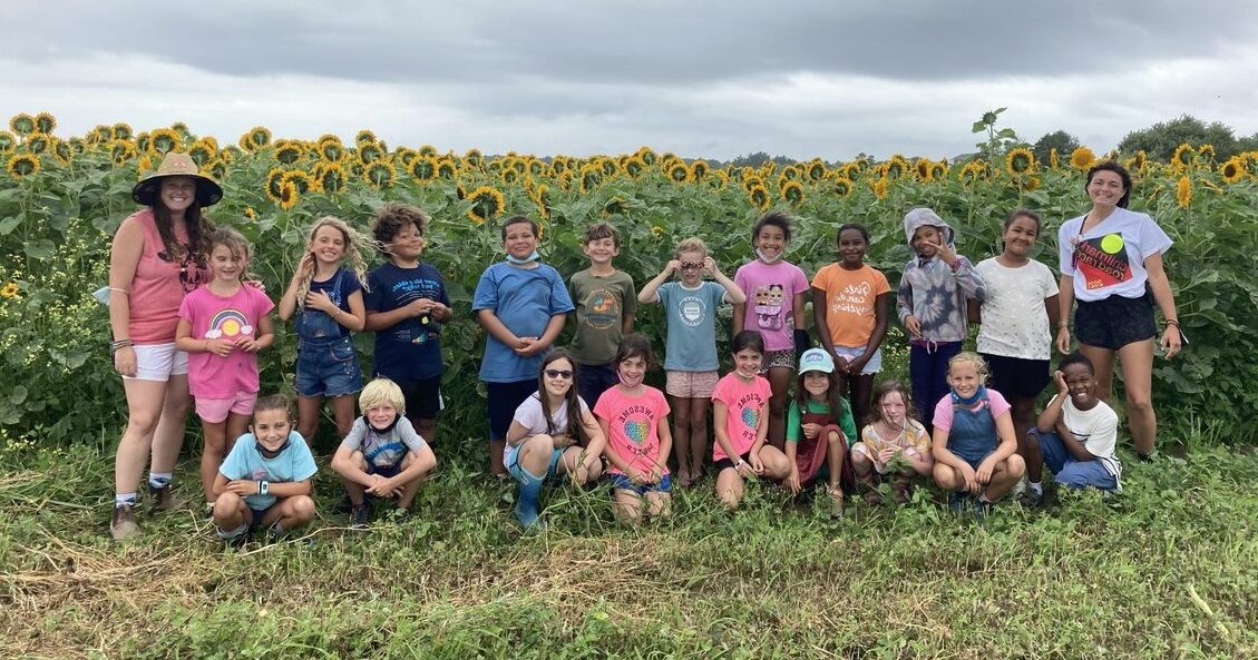 Large group of campers at The FARM Institute (TFI) Summer Camp standing in a sunflower field outdoors