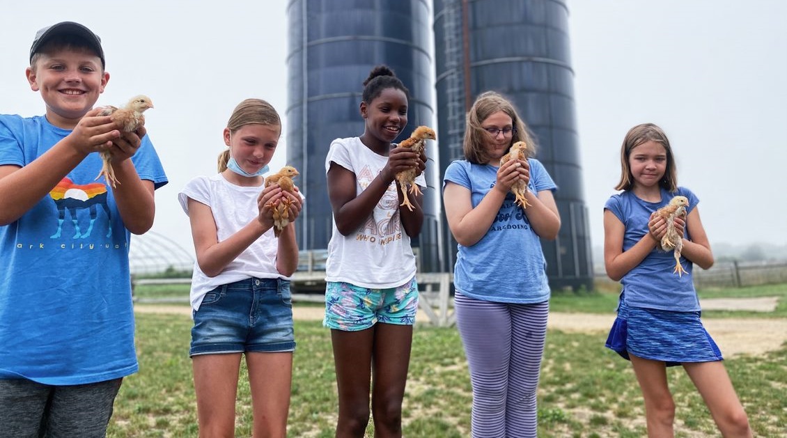 Four campers at The FARM Institute (TFI) Summer Camp holding up baby chicks outdoors