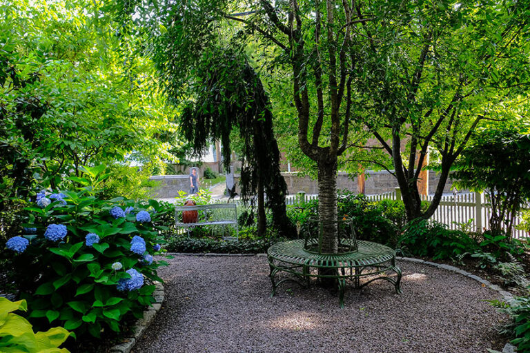 Annual Jamaica Plain Garden Tour Goes Virtual The Trustees of