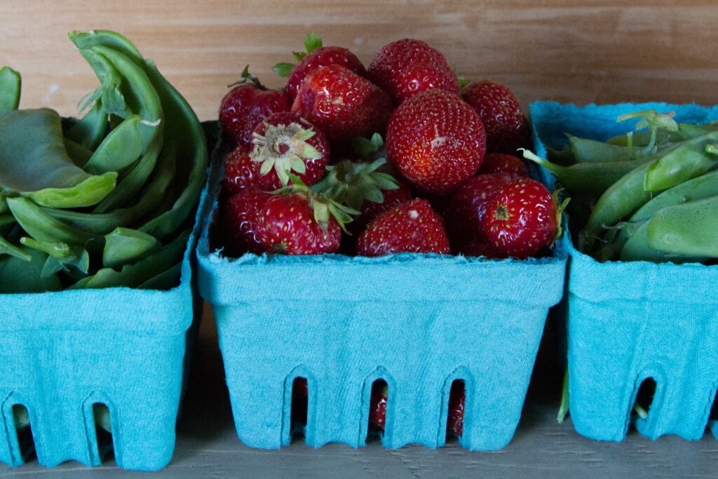 Governor Oliver Ames Estate The Trustees of Reservations