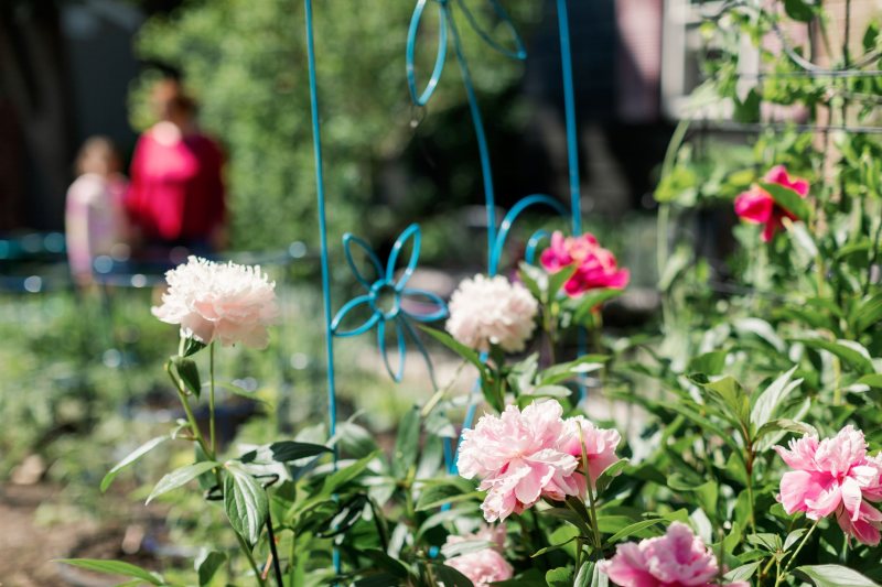 jp garden tour