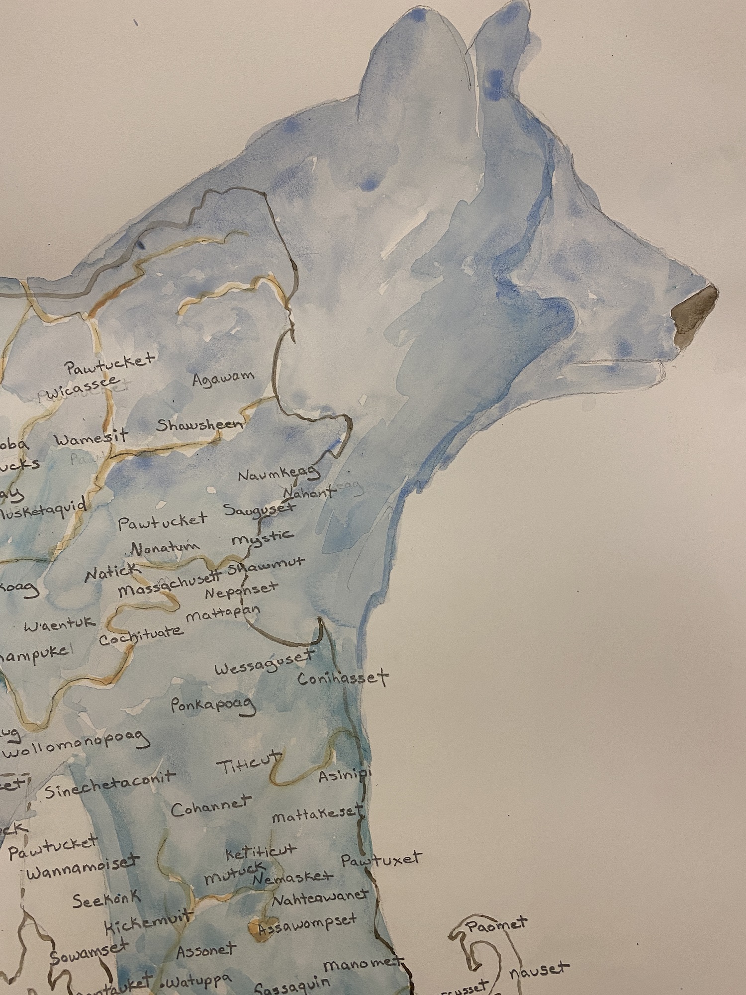 a watercolor map in the shape of a bear