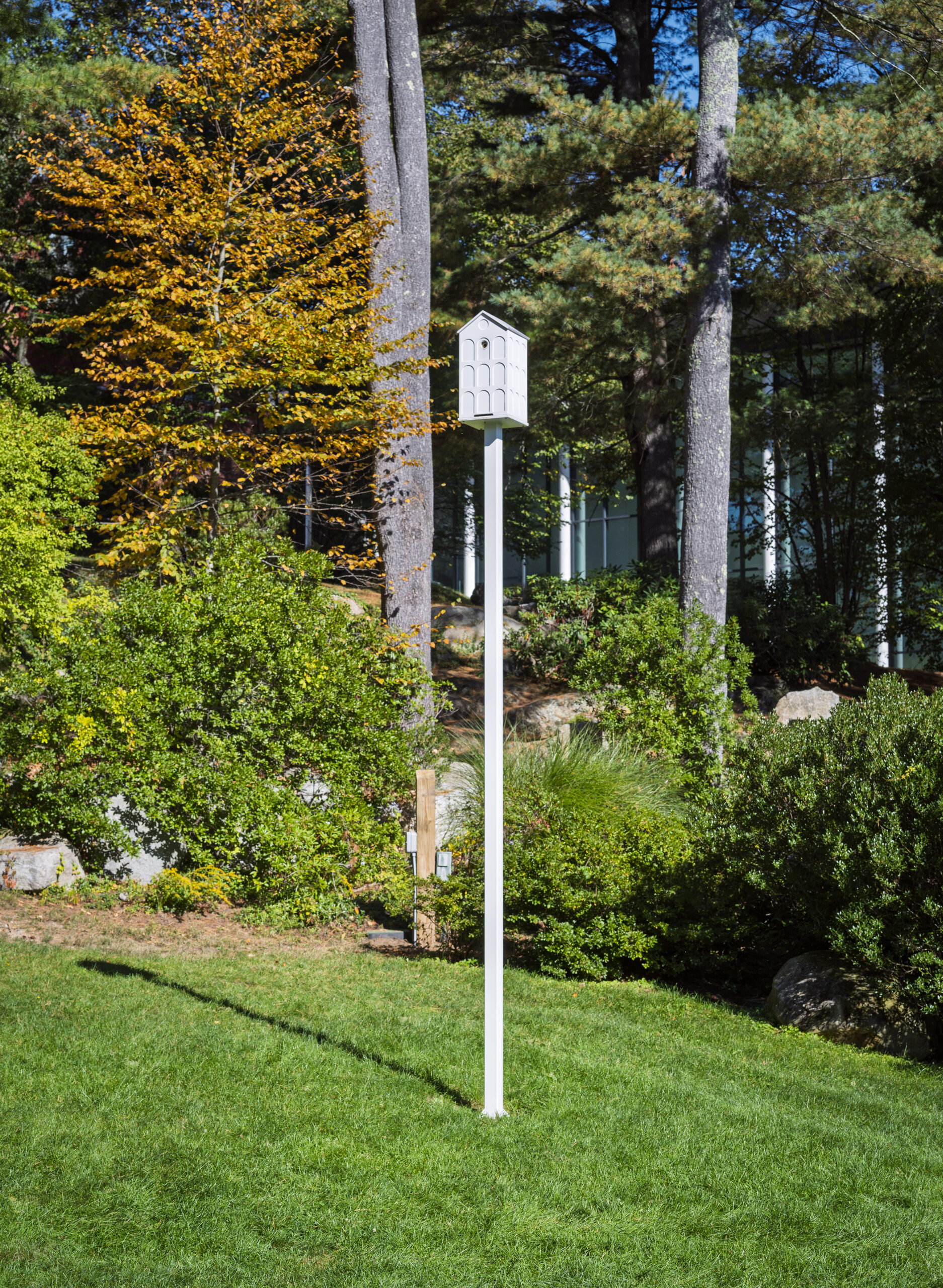 Jarrett Mellenbruch (b. 1971), 