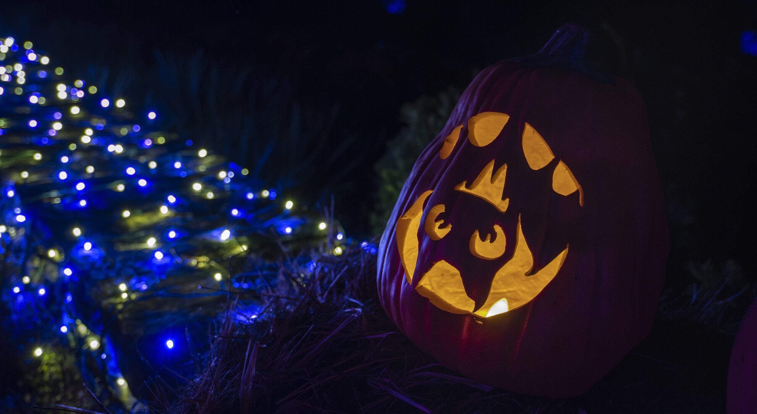 2024 Incredible Naumkeag Pumpkin Show