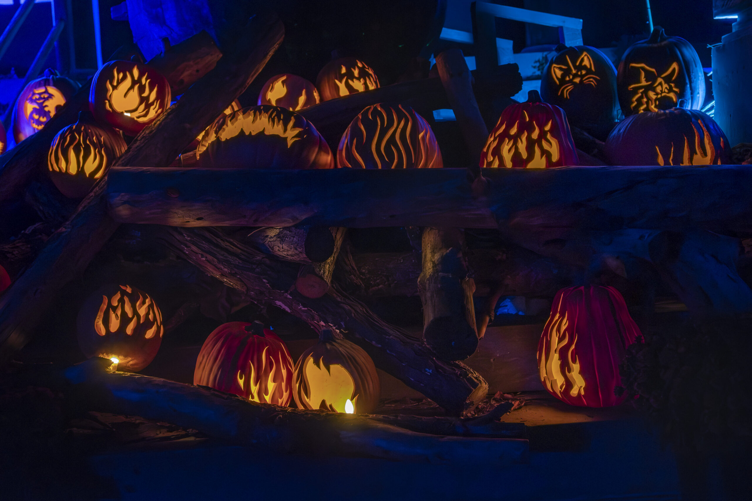 2025 Incredible Naumkeag Pumpkin Show in Stockbridge