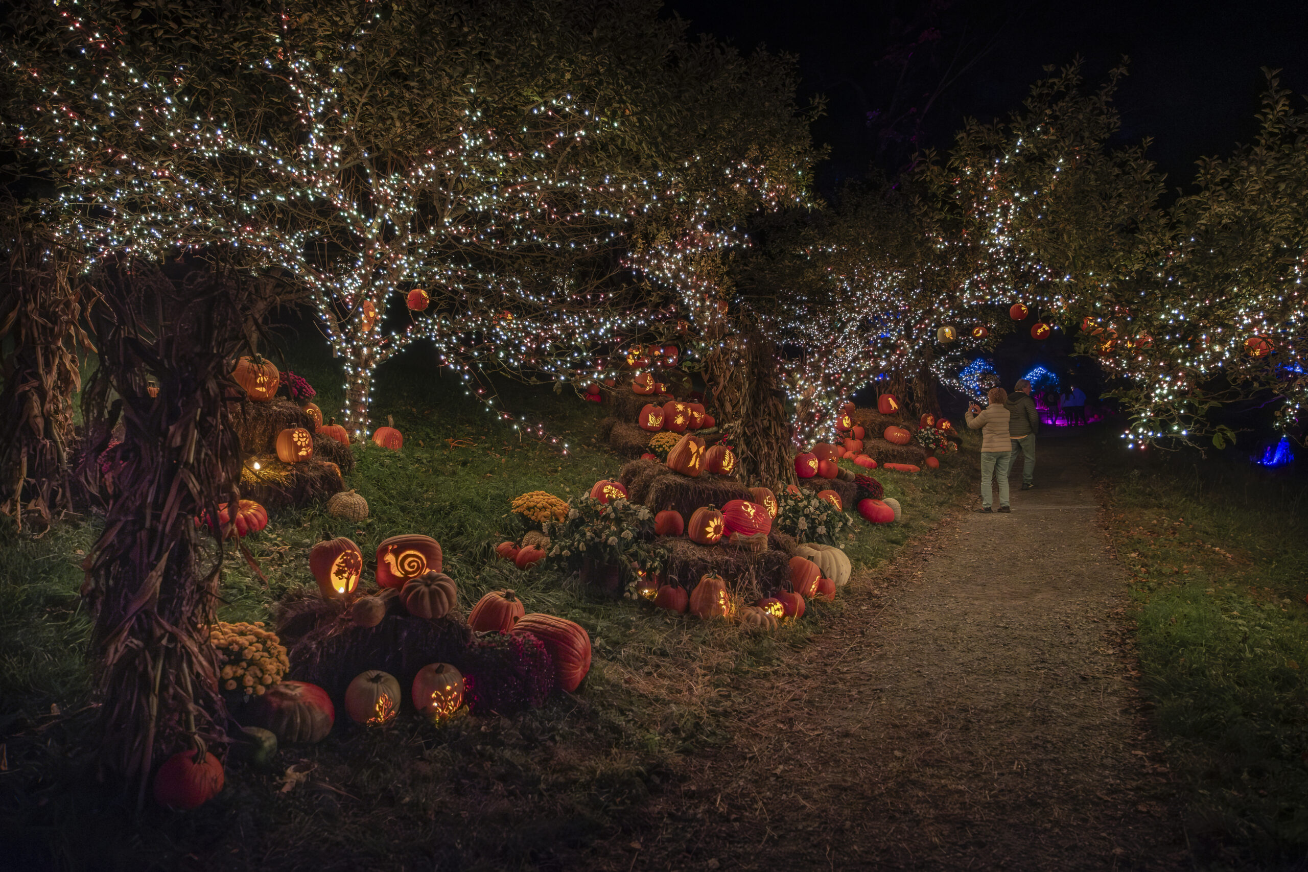 2025 Incredible Naumkeag Pumpkin Show in Stockbridge