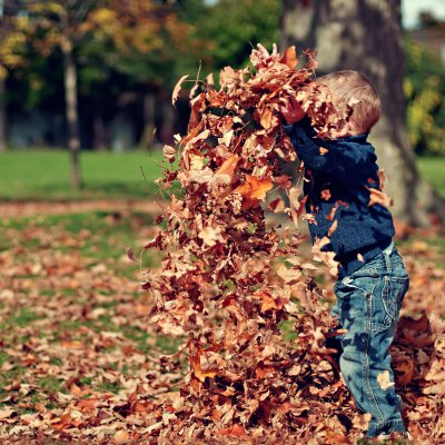 child in leaves
