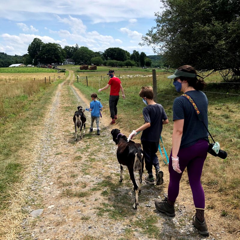 Goat Hikes