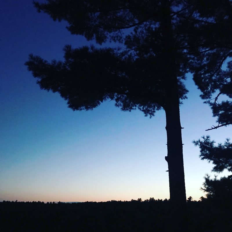 Rocky Woods