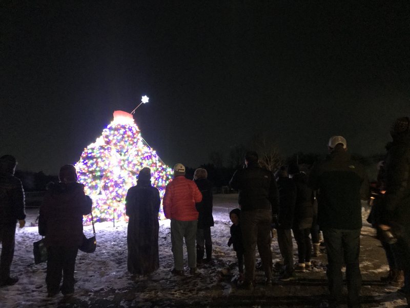 Haybale Treet Lighting