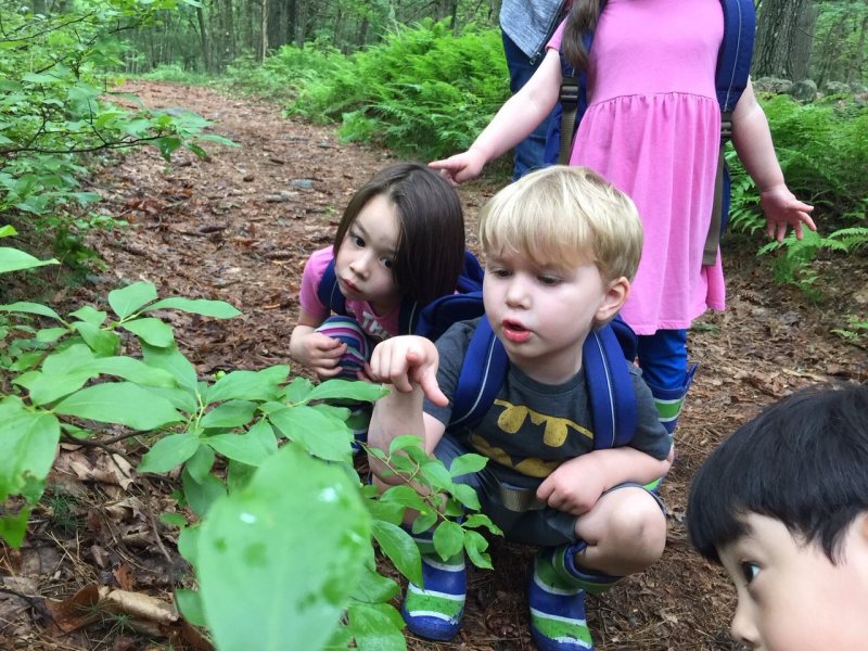 nature school moose hill
