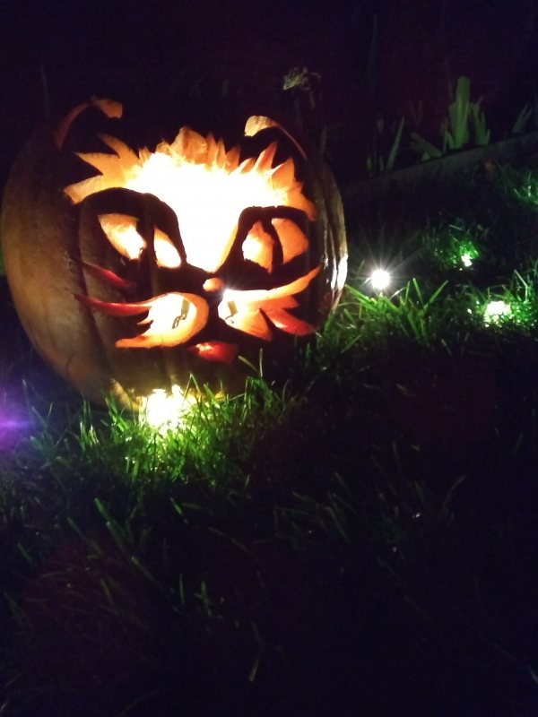 jack o lantern