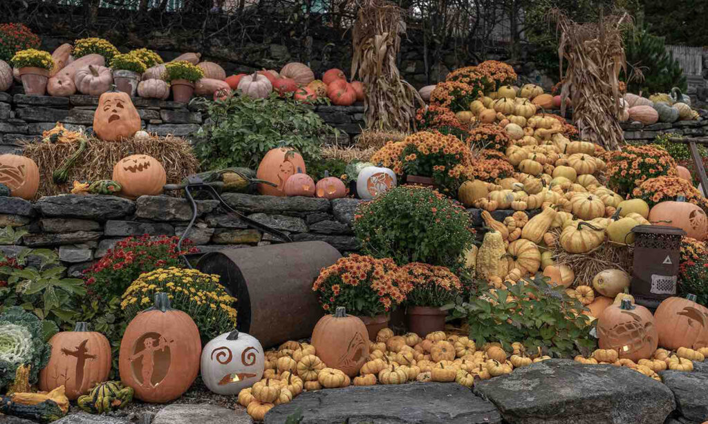Naumkeag Pumpkin Show The Trustees of Reservations