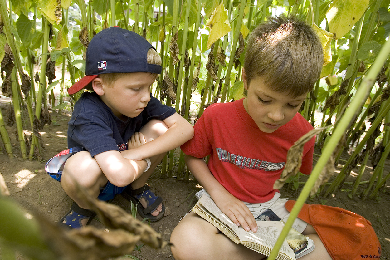 Afternoon Adventures programming at Appleton Farms - two kids sit side by side in a cornfield on a sunny day