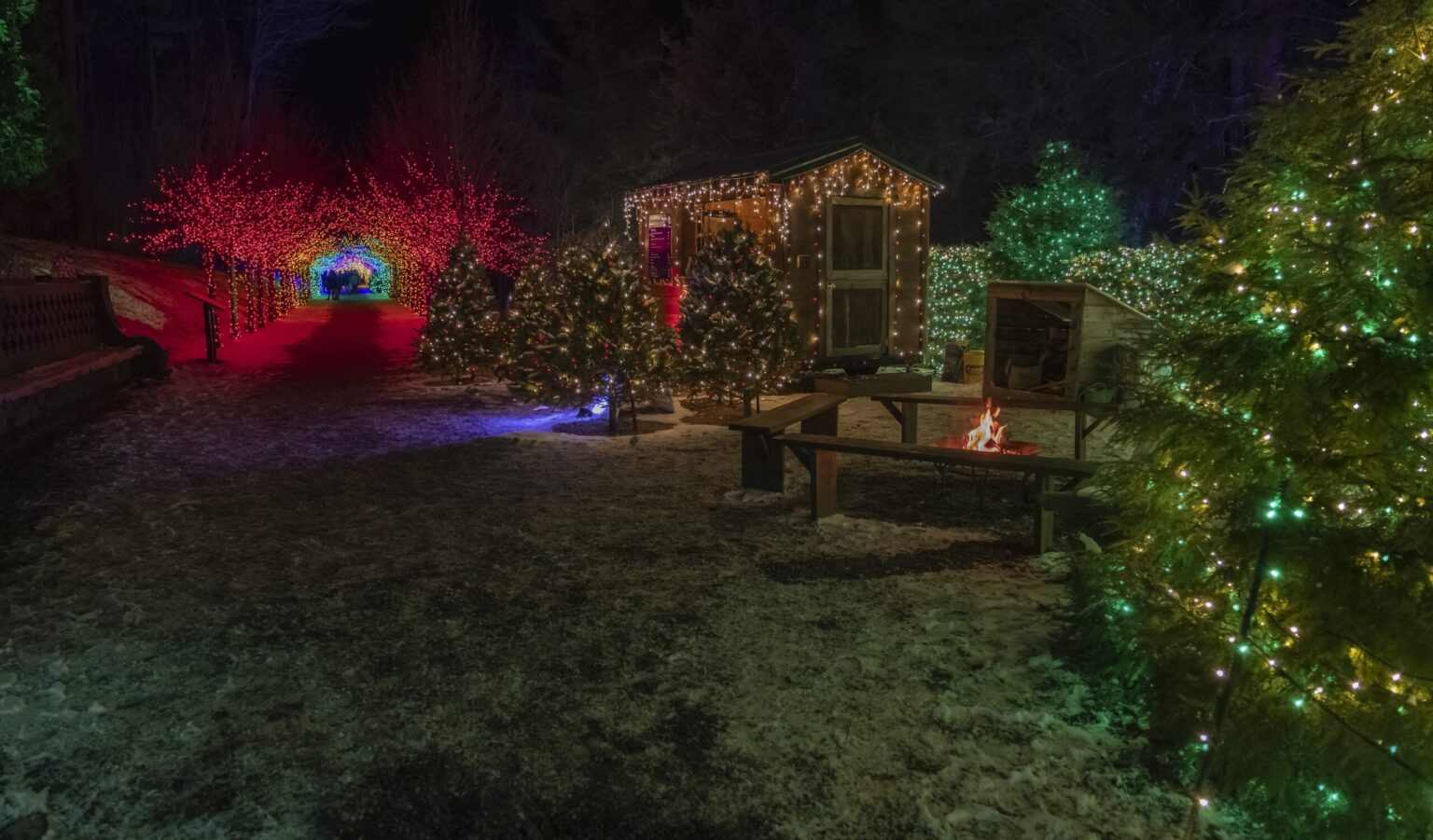 2024 Winterlights at Naumkeag