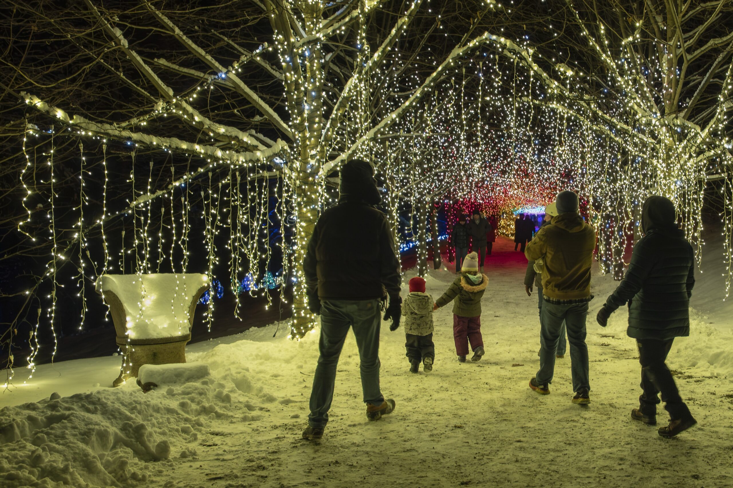 2025 Winterlights at Naumkeag in Stockbridge, MA