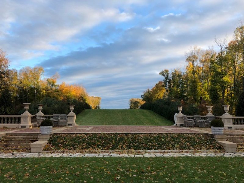 Allee in the Fall