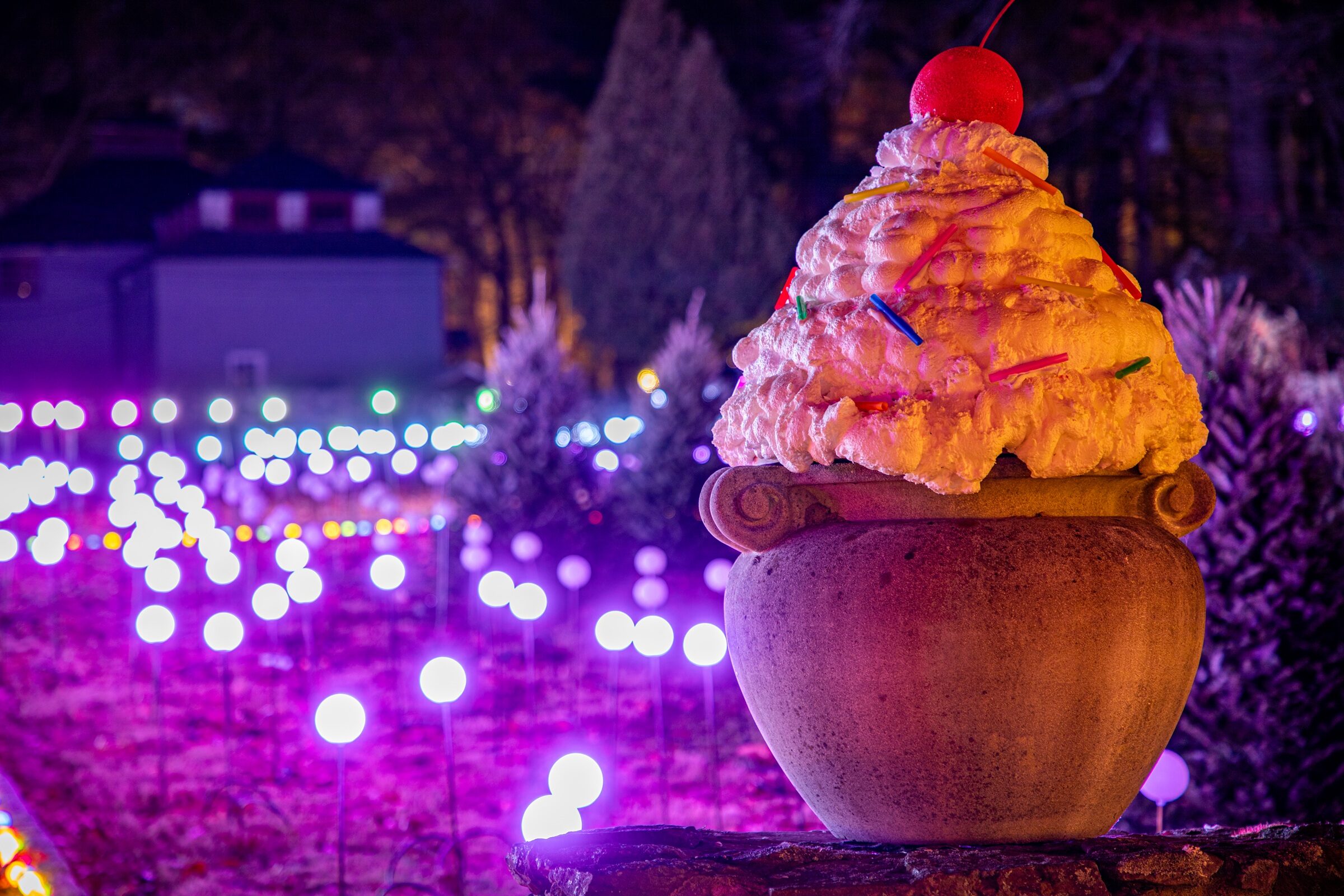 2025 Winterlights at the Eleanor Cabot Bradley Estate in Canton, MA