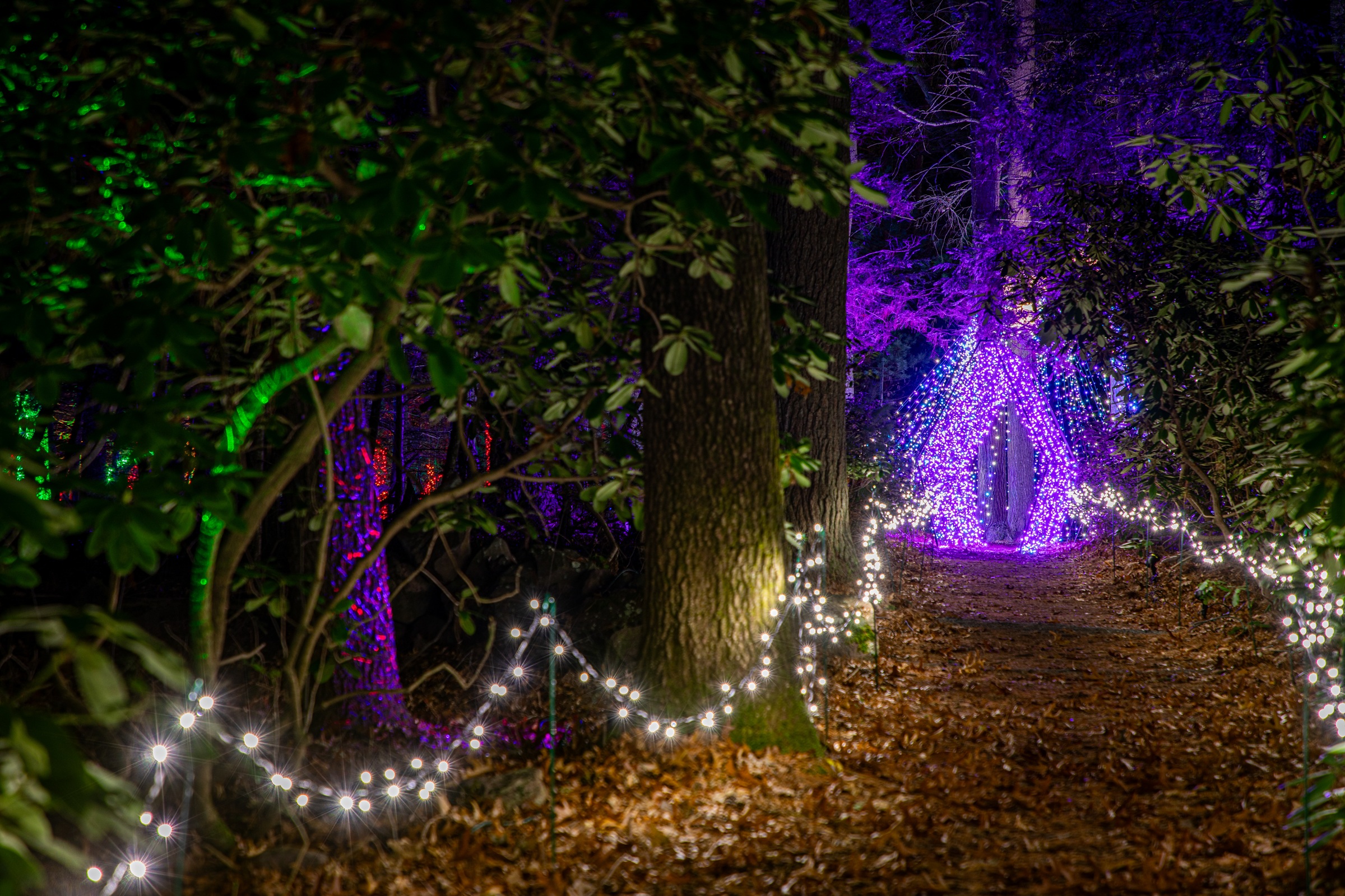 2025 Winterlights at the Eleanor Cabot Bradley Estate in Canton, MA