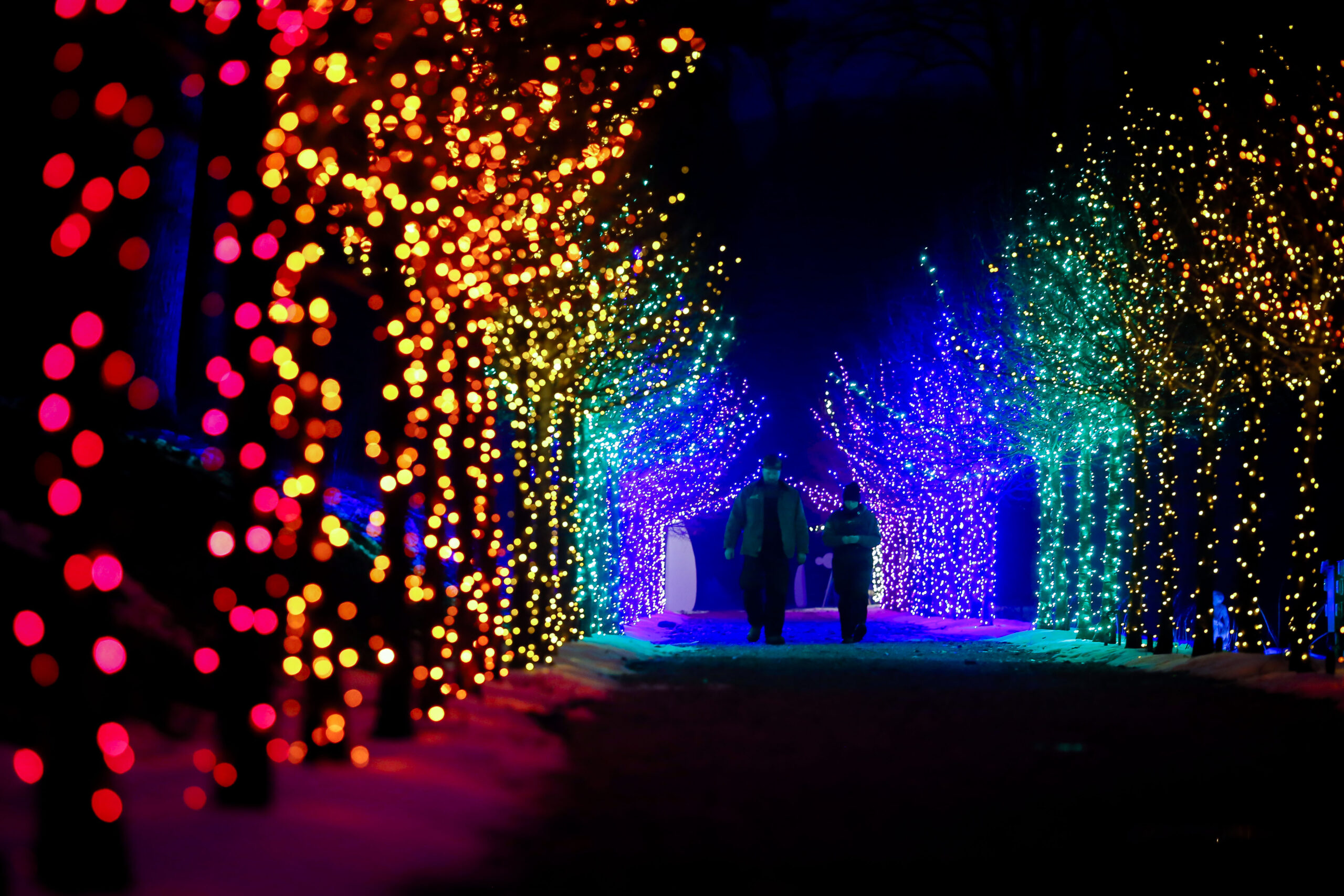 Winterlights at Naumkeag