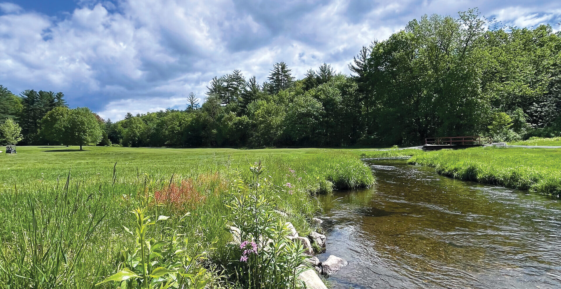 Stream with green grass and trees under blue sky at Beaver Brook