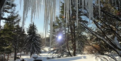 Sculpture Park Snowshoe Tours