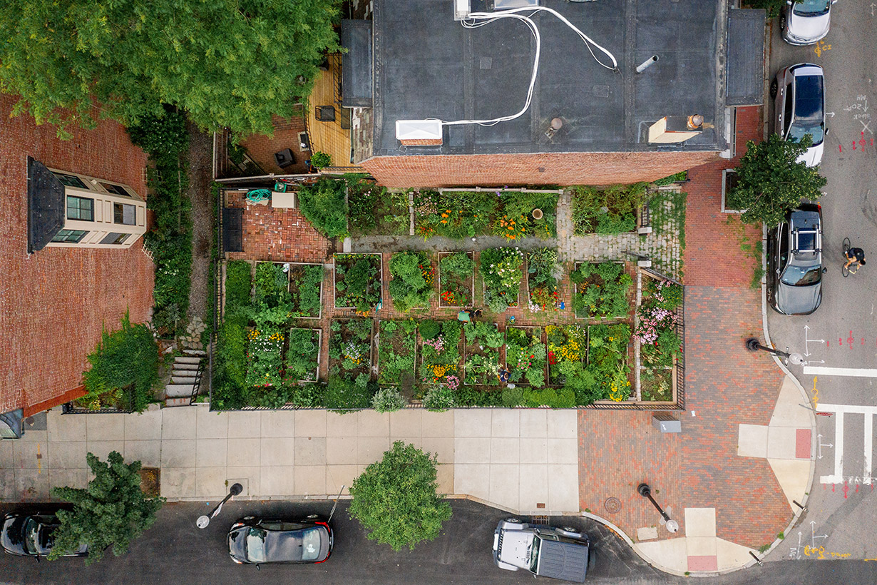 An aerial view looking down at green plants in a public garden surrounded by buildings in the middle of Boston