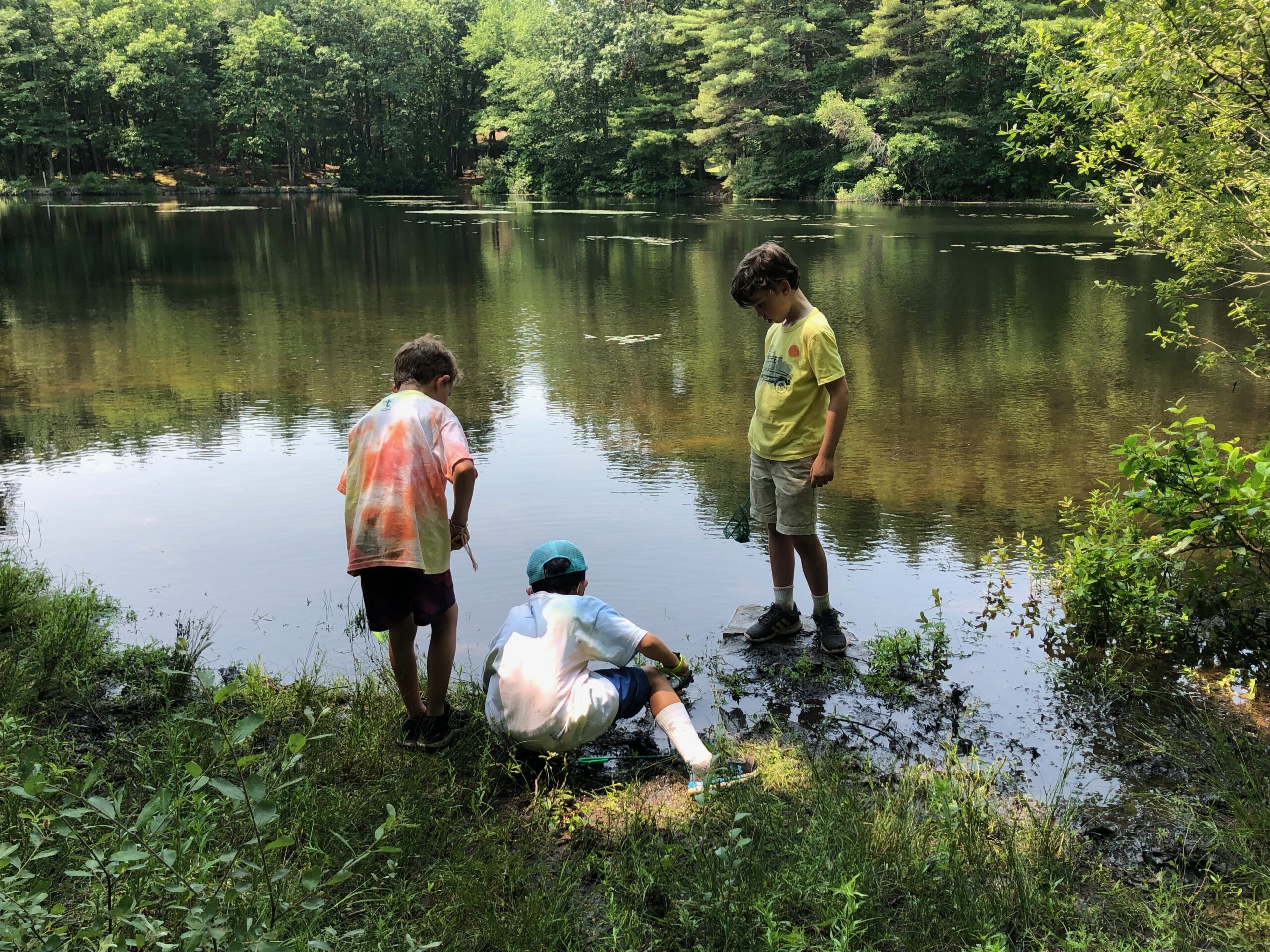 Three campers standing next to a woodland pond outdoors during the day