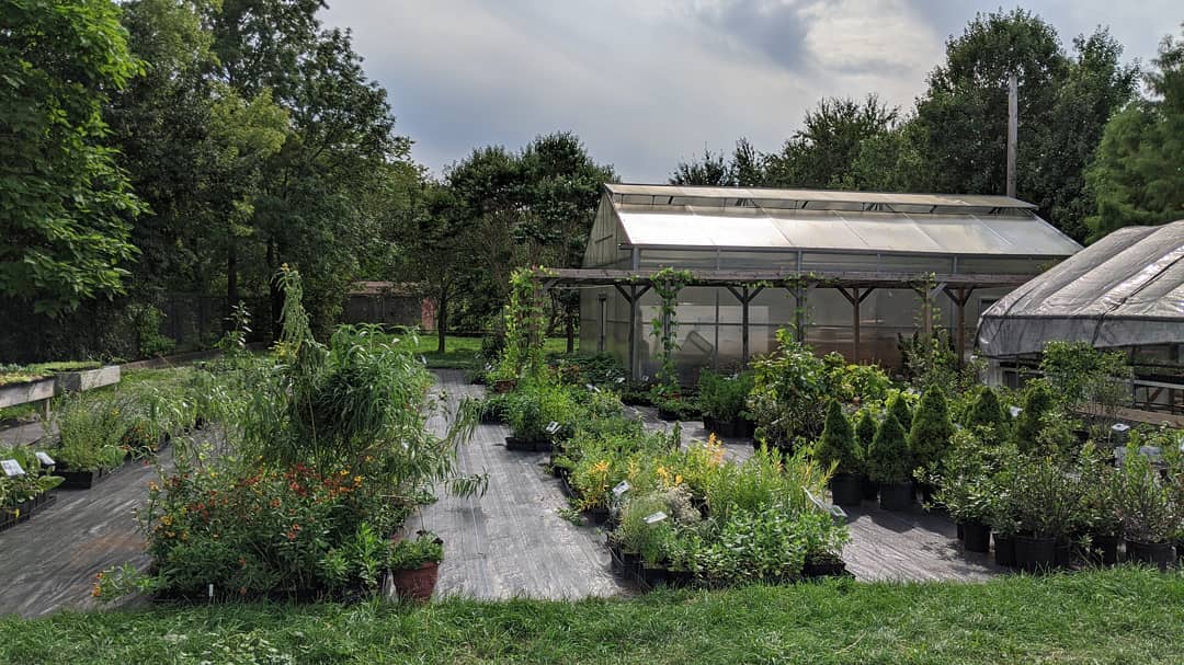 Urban Greenhouse and Garden